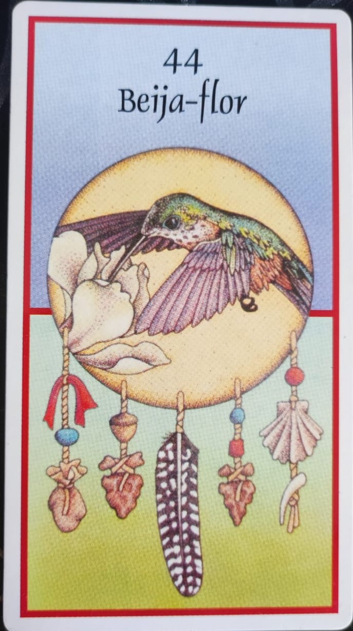 Animal da Semana – O Beija-Flor